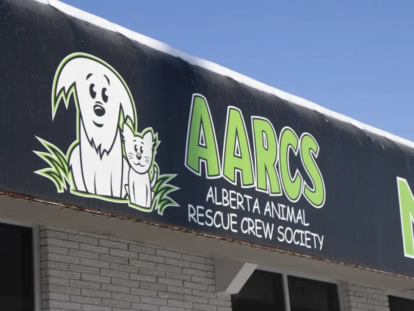 Alberta Animal Rescue Crew Society (AARCS)